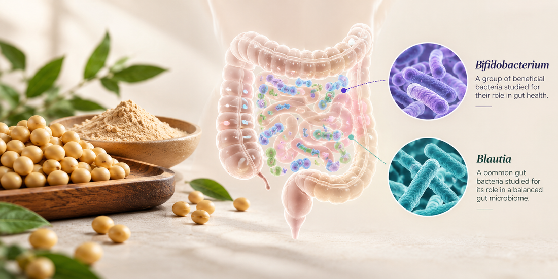 Can Natto Powder Influence the Gut Microbiome? Inside the SONOMONO Study