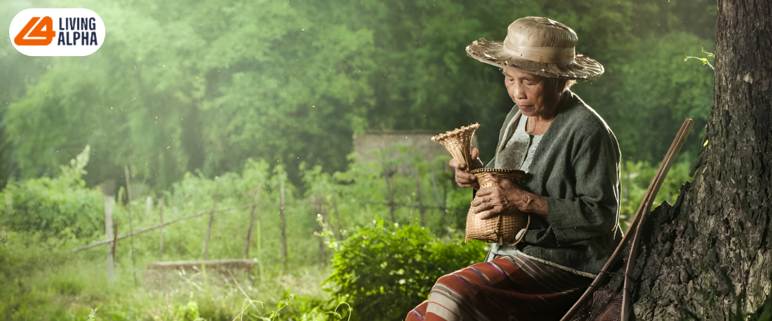 The Key Ways to Find the Best Nattokinase Supplement