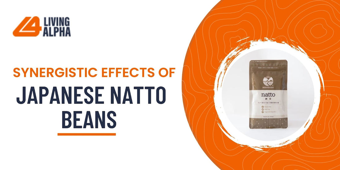 Synergistic Effects Of Japanese Natto Beans And Green Tea Polyphenols Studied