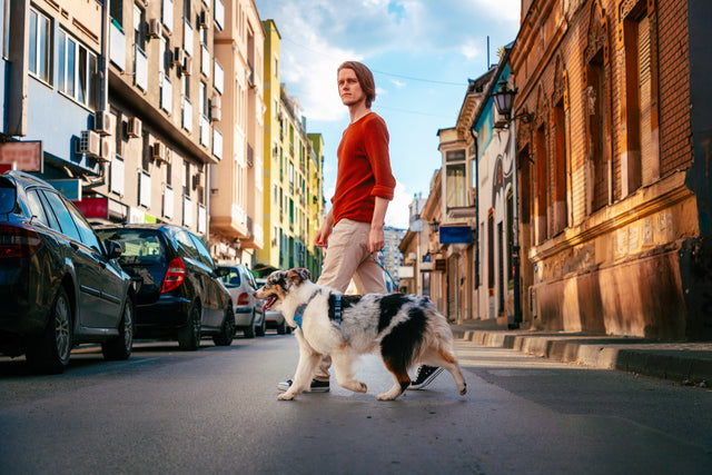Man crossing the road with a dog