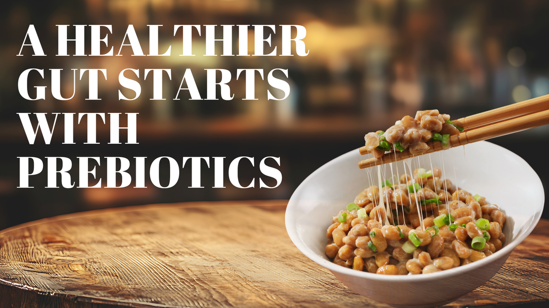 A bowl of natto with chopsticks and the text ‘A Healthier Gut Starts with Prebiotics’ promoting gut health.