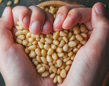 Natto for Heart and Gut: What It Can Support, What the Research Suggests, and Who Should Be Cautious
