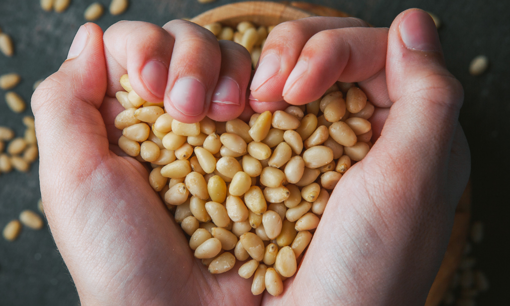 Hands holding soybeans used for natto, highlighting natural fermentation and natto health benefits.