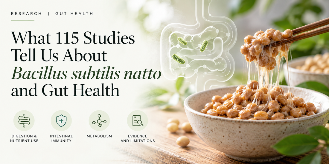 What 115 Studies Tell Us About Bacillus subtilis natto and Gut Health