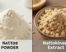 Natto Powder vs Nattokinase Extract: What's the Real Difference?