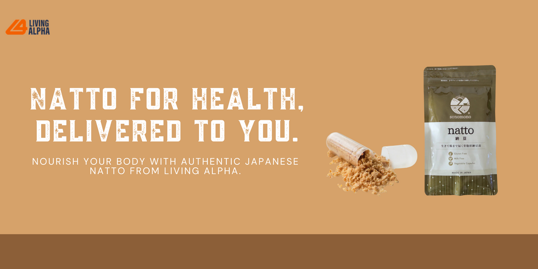 Buy Natto in the UK: Explore Unique Flavors and Varieties