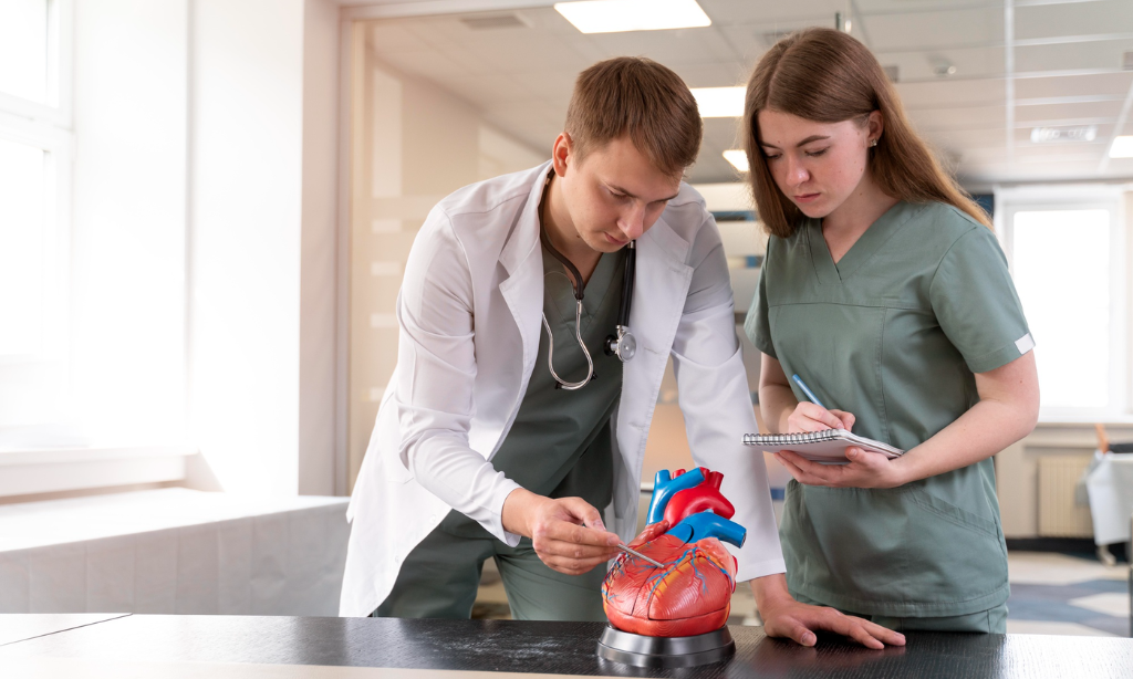 Healthcare professionals examining a heart model while discussing cardiovascular health and heart wellness in a clinical setting.