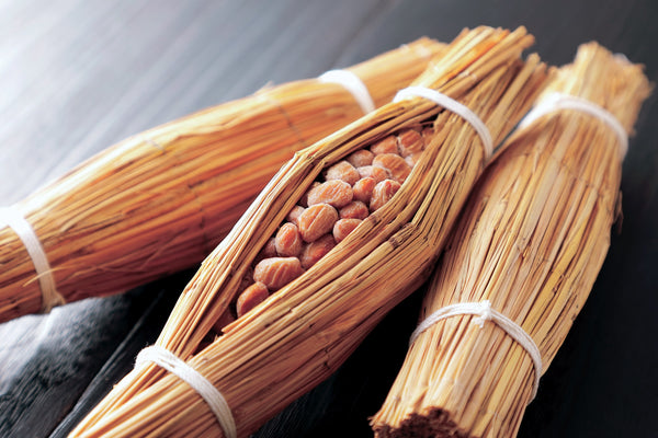 Natto wrapped in rice straw