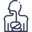 Icon of a person with their digestive system highlighted